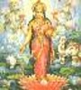 Shri Lakshmi devi